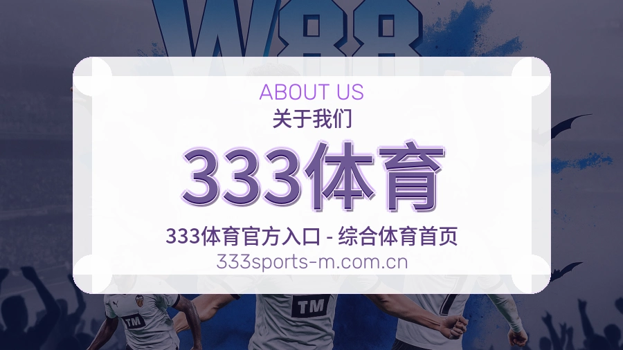 关于 333体育